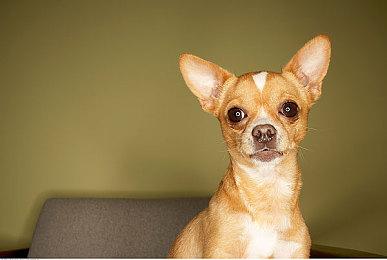 本周Fami通游戏评分出炉 《消逝的光芒2》获黄金殿堂评价